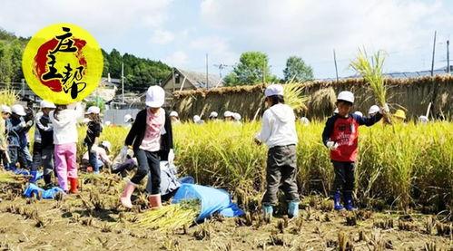 黑龙江农场爆料案件最新,揭开背后惊人真相